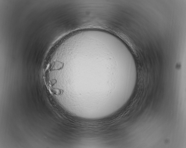 X0000116310680201001111139