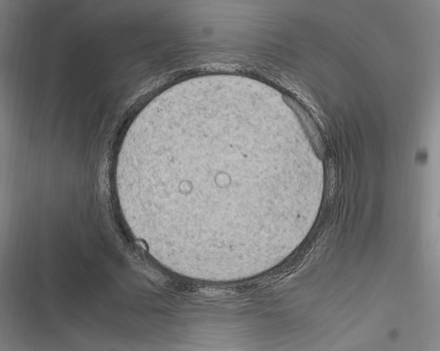 X0000116310681201001111139