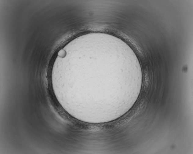 X0000116310682201001111139