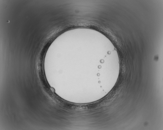 X0000116310683201001111139