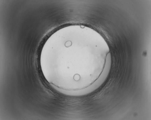 X0000116310684201001111139