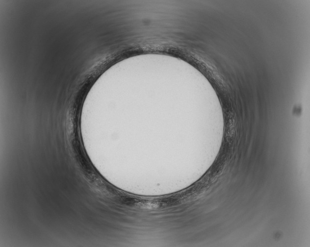 X0000116310687201001111139