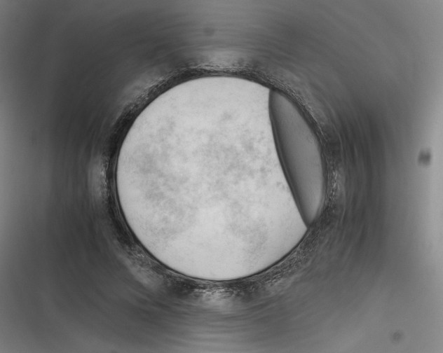 X0000116310688201001111139