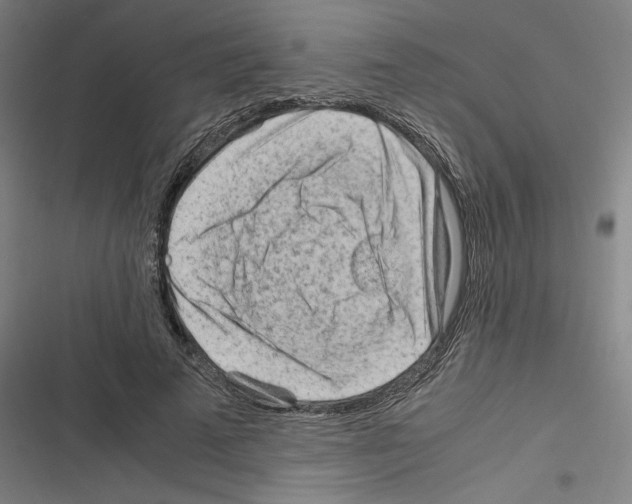 X0000116310689201001111139