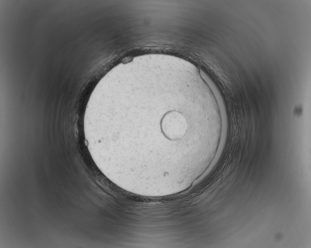 X0000116310692201001111139