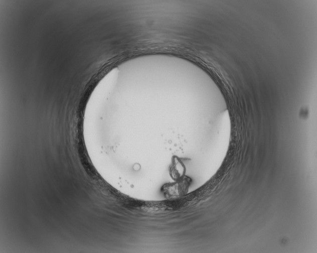 X0000116310693201001111138