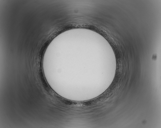 X0000116310695201001111138