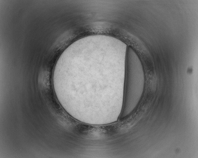 X0000116310696201001111138