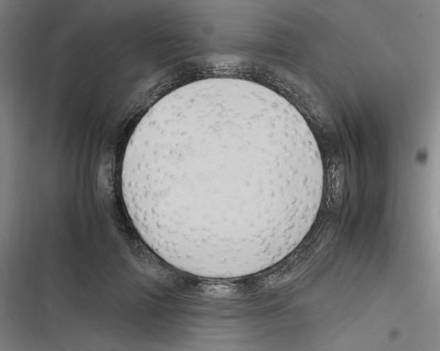 X0000116310698201001111138