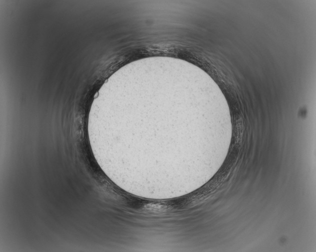 X0000116310699201001111138