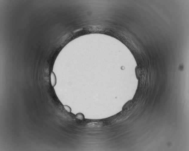 X0000116310700201001111138