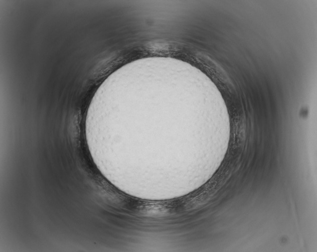 X0000116310702201001111138