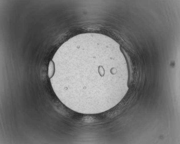 X0000116310704201001111138