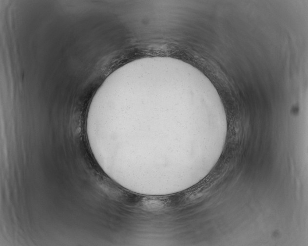 X0000116310706201001111138