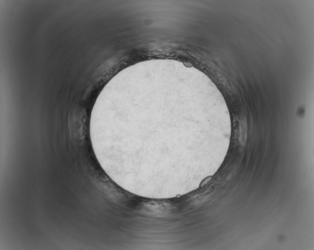 X0000116310712201001111138