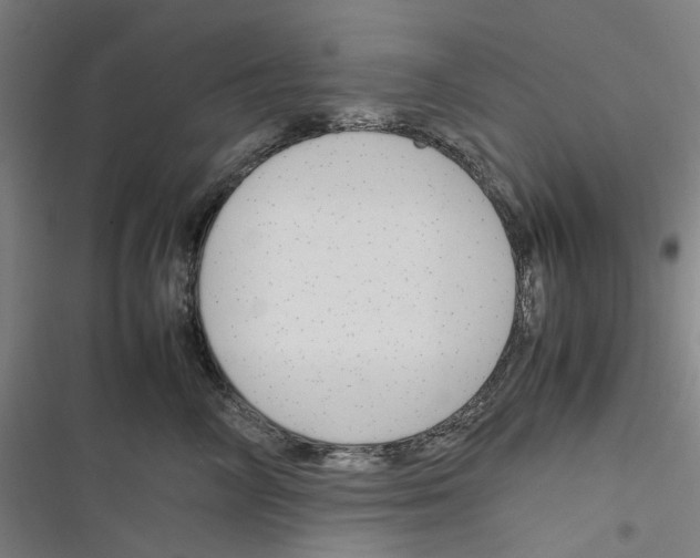 X0000116310714201001111138