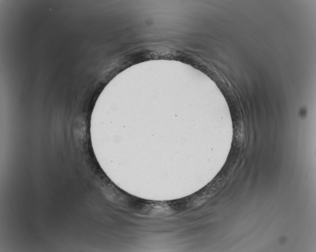 X0000116310715201001111138