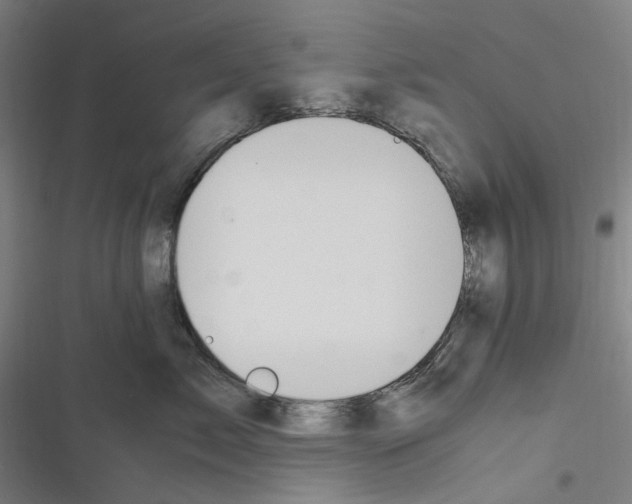 X0000116310717201001111138