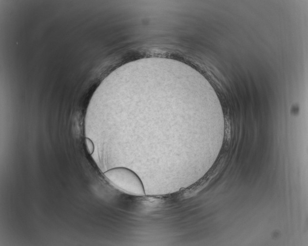 X0000116310718201001111138