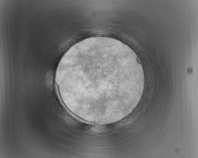 X0000116310720201001111138