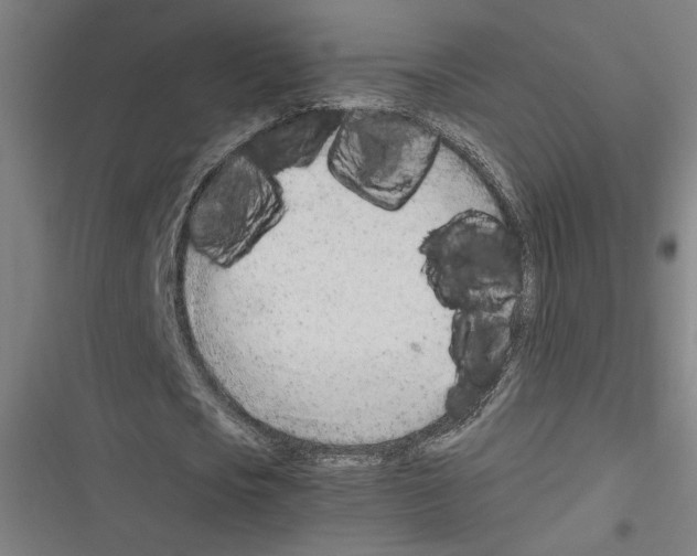 X0000116310721201001111137