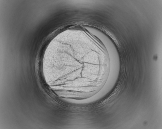 X0000116310722201001111137