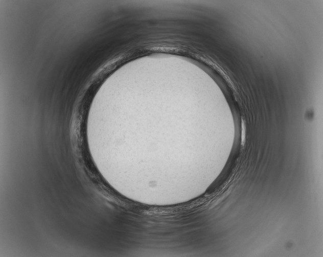 X0000116310723201001111138