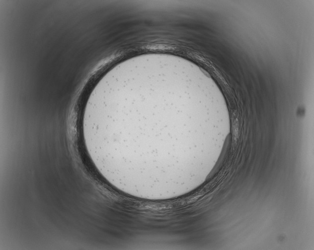 X0000116310727201001111138