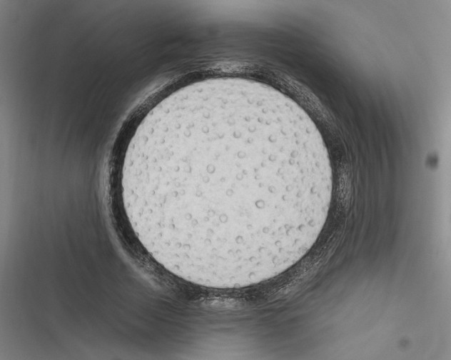 X0000116310730201001111138