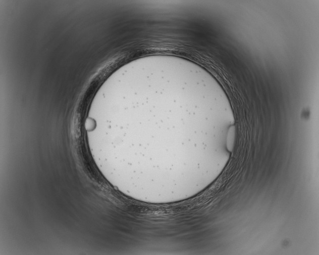 X0000116310731201001111138