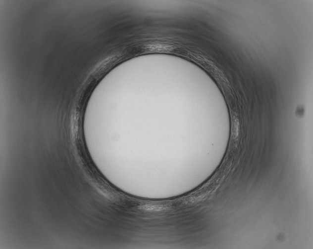 X0000116310733201001111138