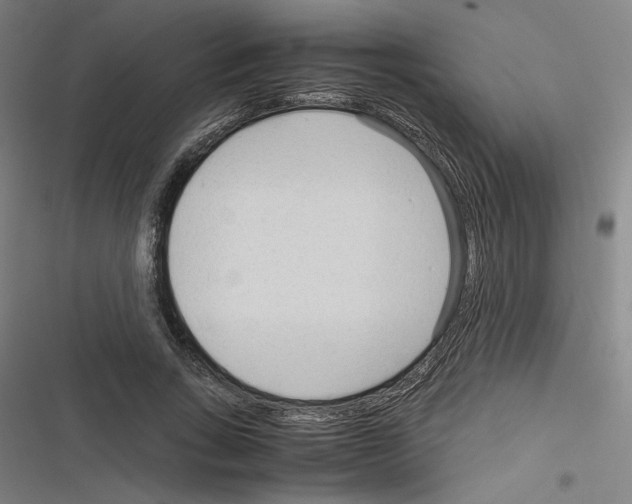 X0000116310735201001111138