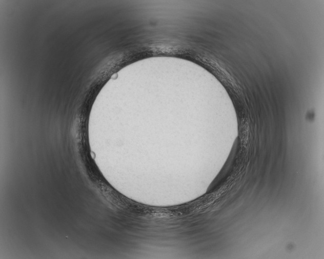 X0000116310738201001111138