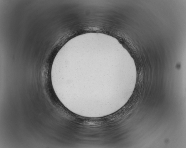 X0000116310739201001111138