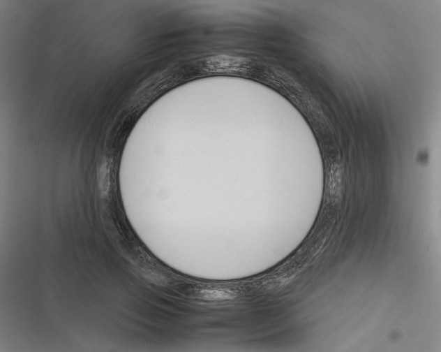 X0000116310741201001111138