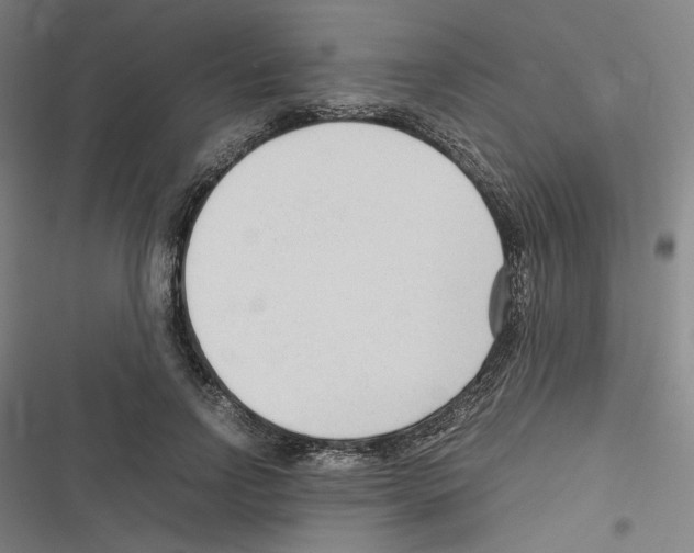 X0000116310742201001111138