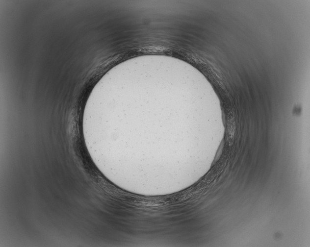 X0000116310743201001111138