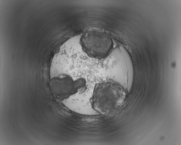 X0000116310745201001111138