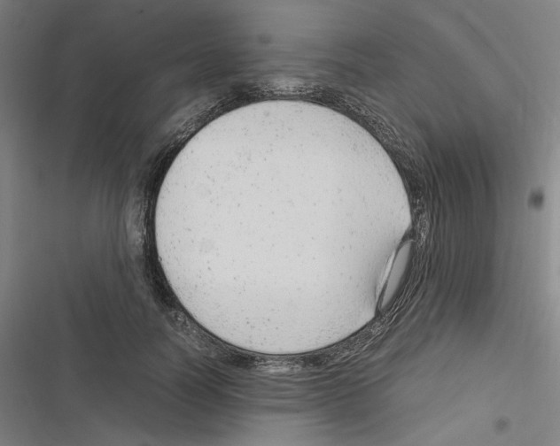 X0000116310746201001111138