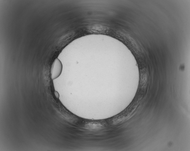 X0000116310749201001111138