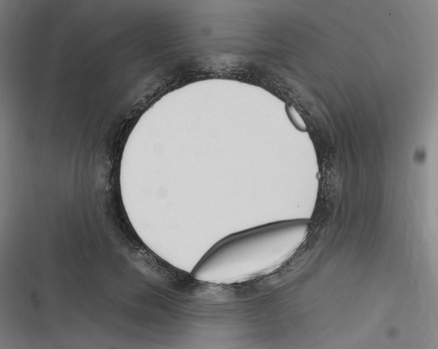 X0000116310750201001111138