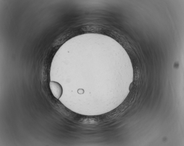 X0000116310751201001111138