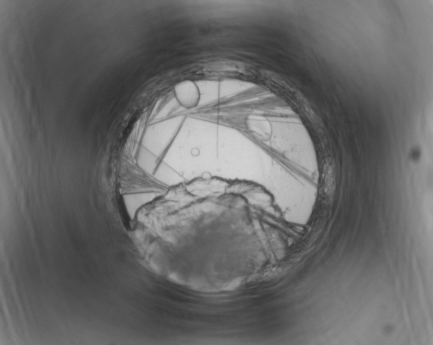 X0000116310753201001111138