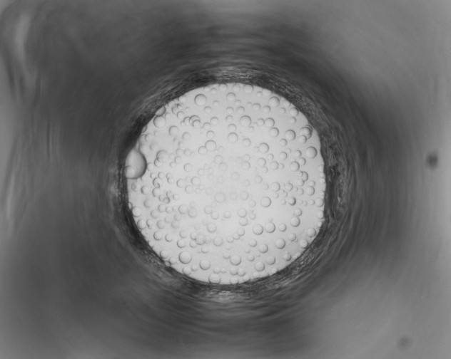 X0000116310755201001111138