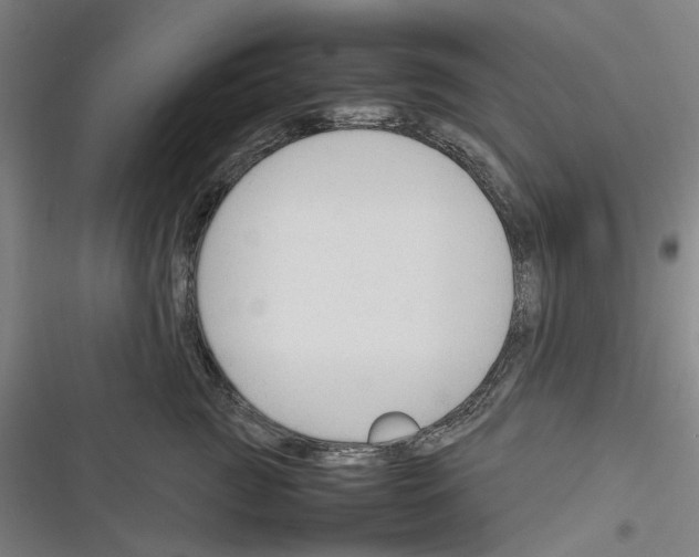 X0000116310761201001111138