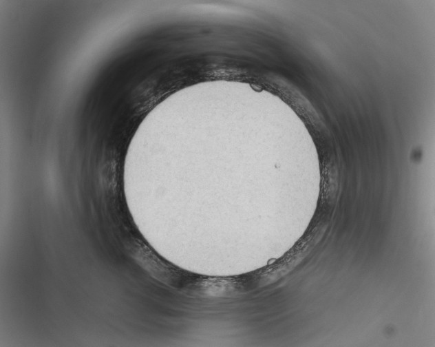 X0000116310762201001111138