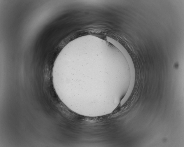 X0000116310763201001111138