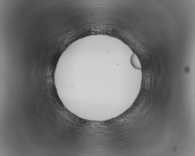 X0000116310770201001111137