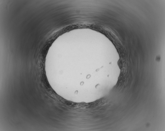 X0000116310773201001111137