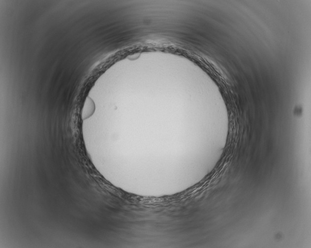 X0000116310776201001111137